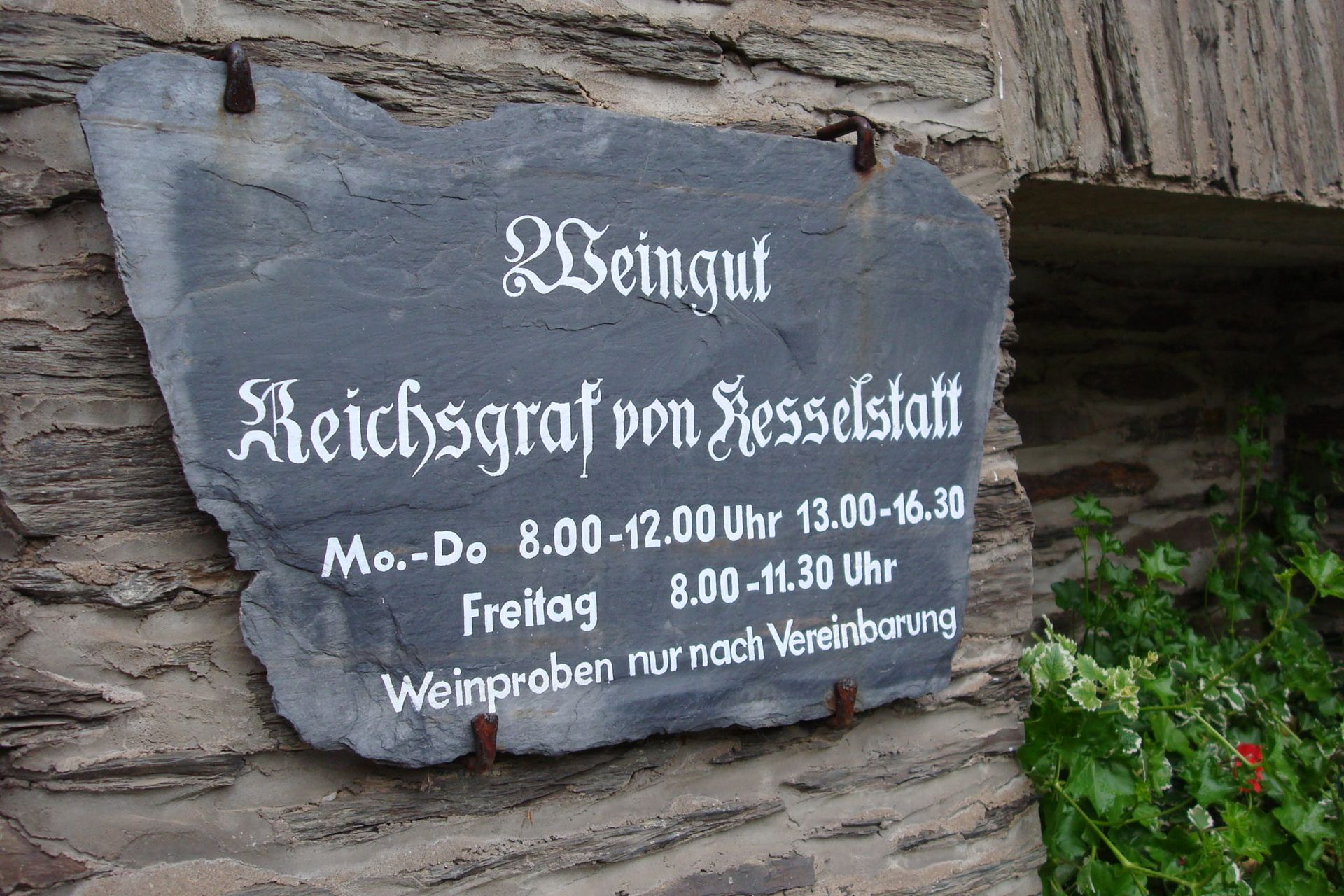 Visita a la bodega Reichsgraf Von Kesselstatt